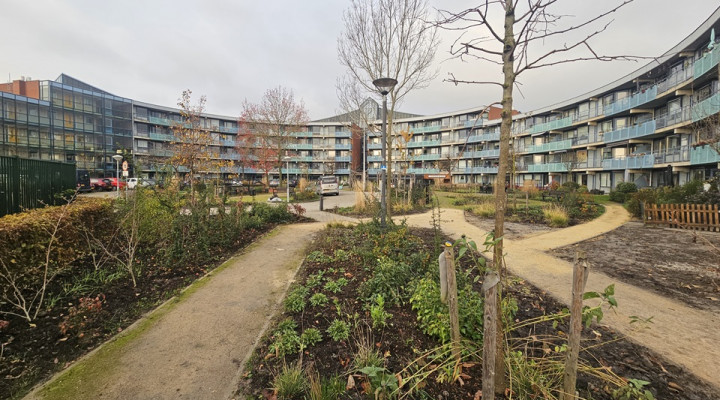 woonzorgcomplex Betsy Perk in Hoorn Kersenboogerd